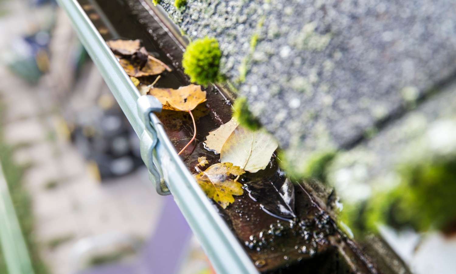 Gutter Cleaning Dublin